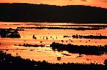 Sunset at Ayeryarwady River